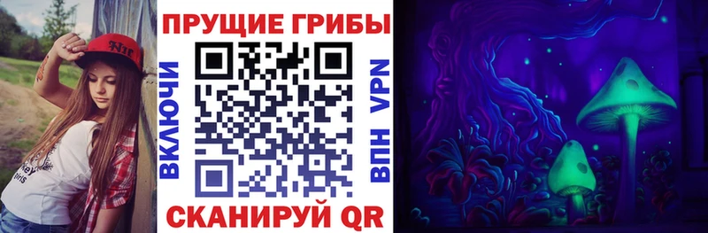 Псилоцибиновые грибы Psilocybine cubensis  kraken рабочий сайт  Сельцо 